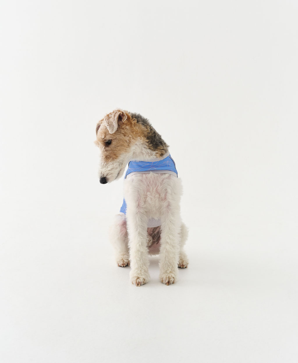 WEISS COOLING VEST BLUE
