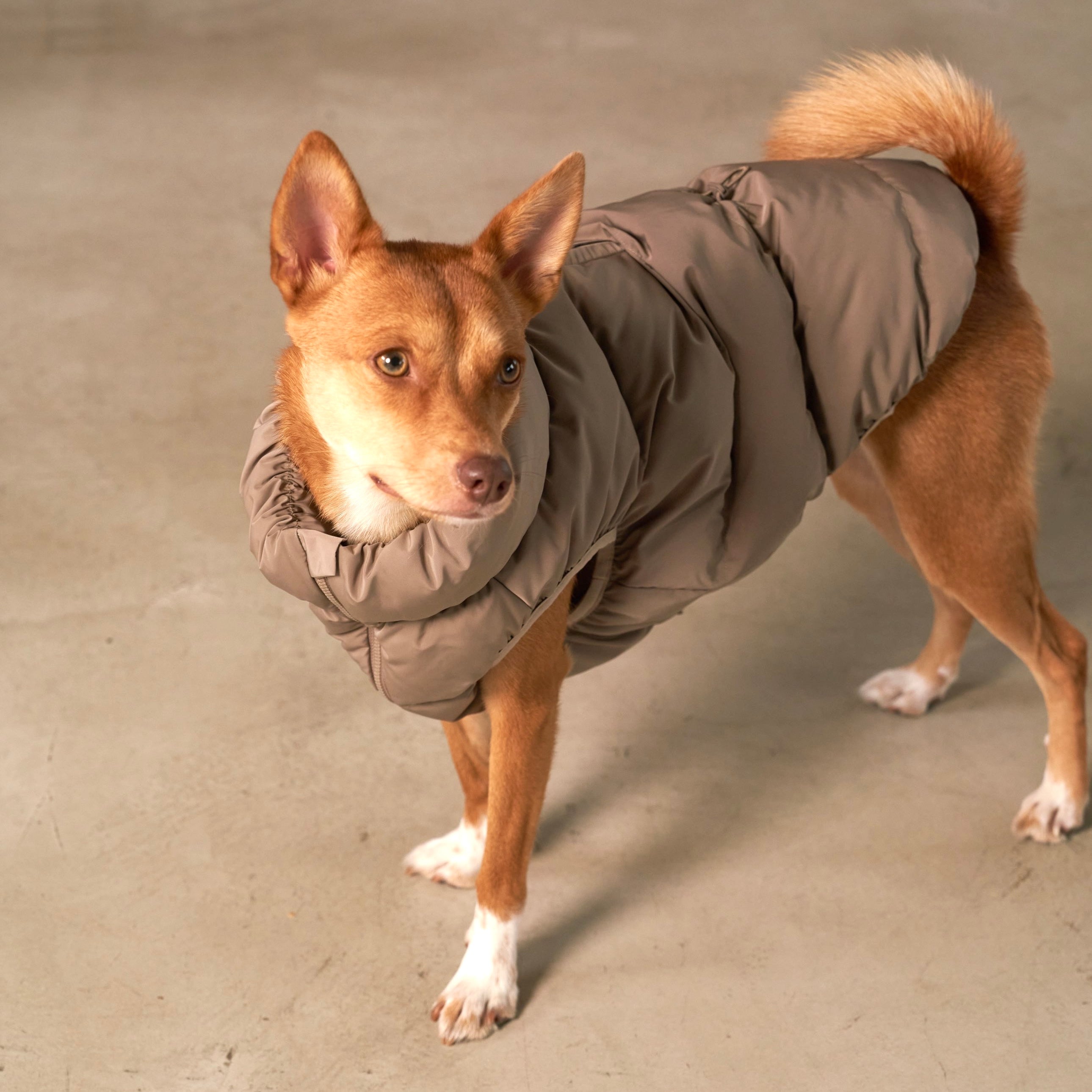 Cushy Puffer Vest カフェモカ