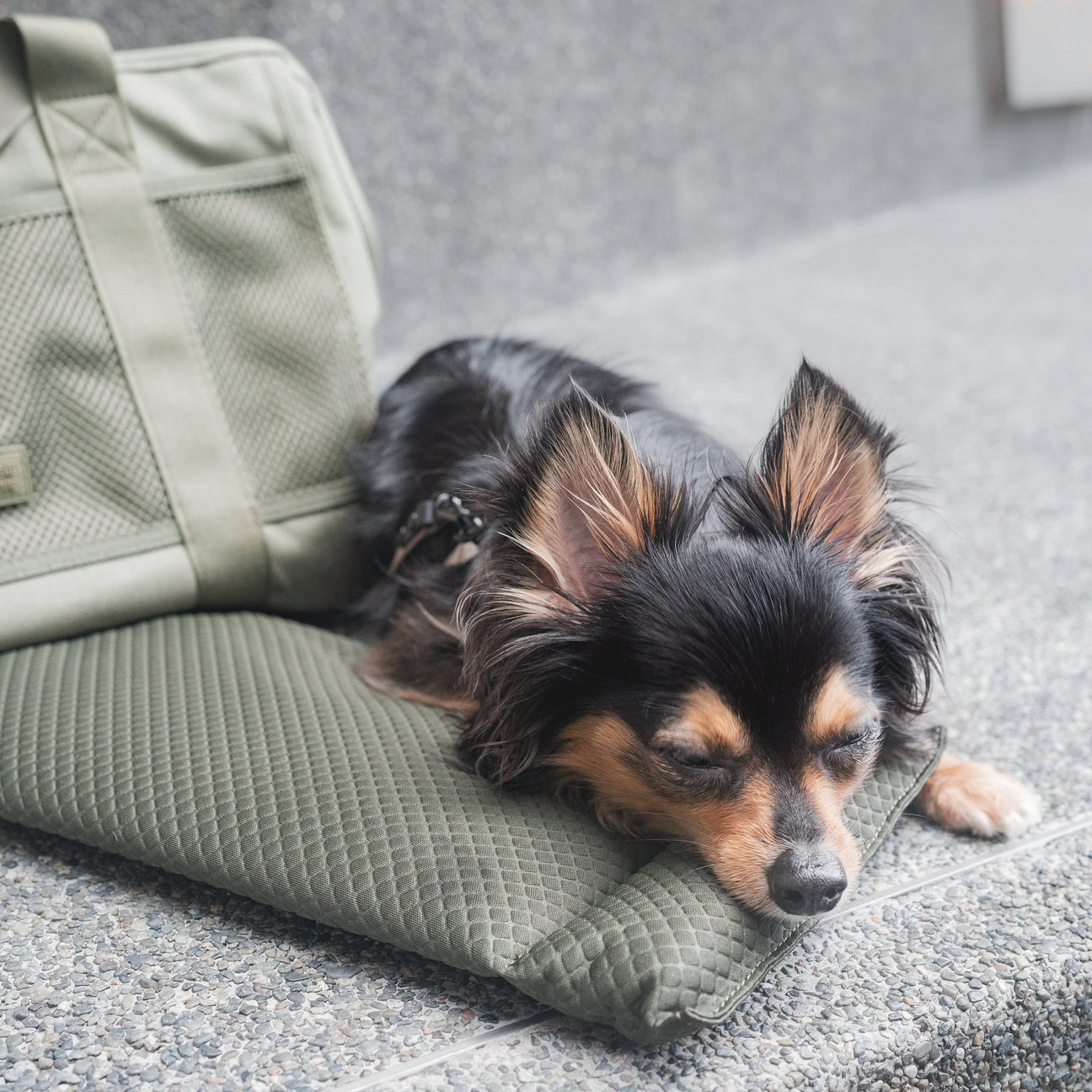 SUBWAY Petite Pet Carrycot FERN