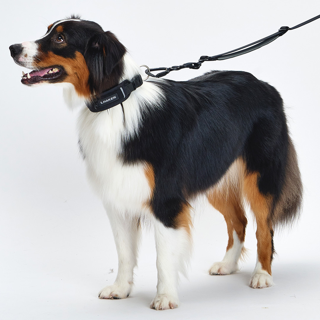 TREKTAIL Collar ブラック