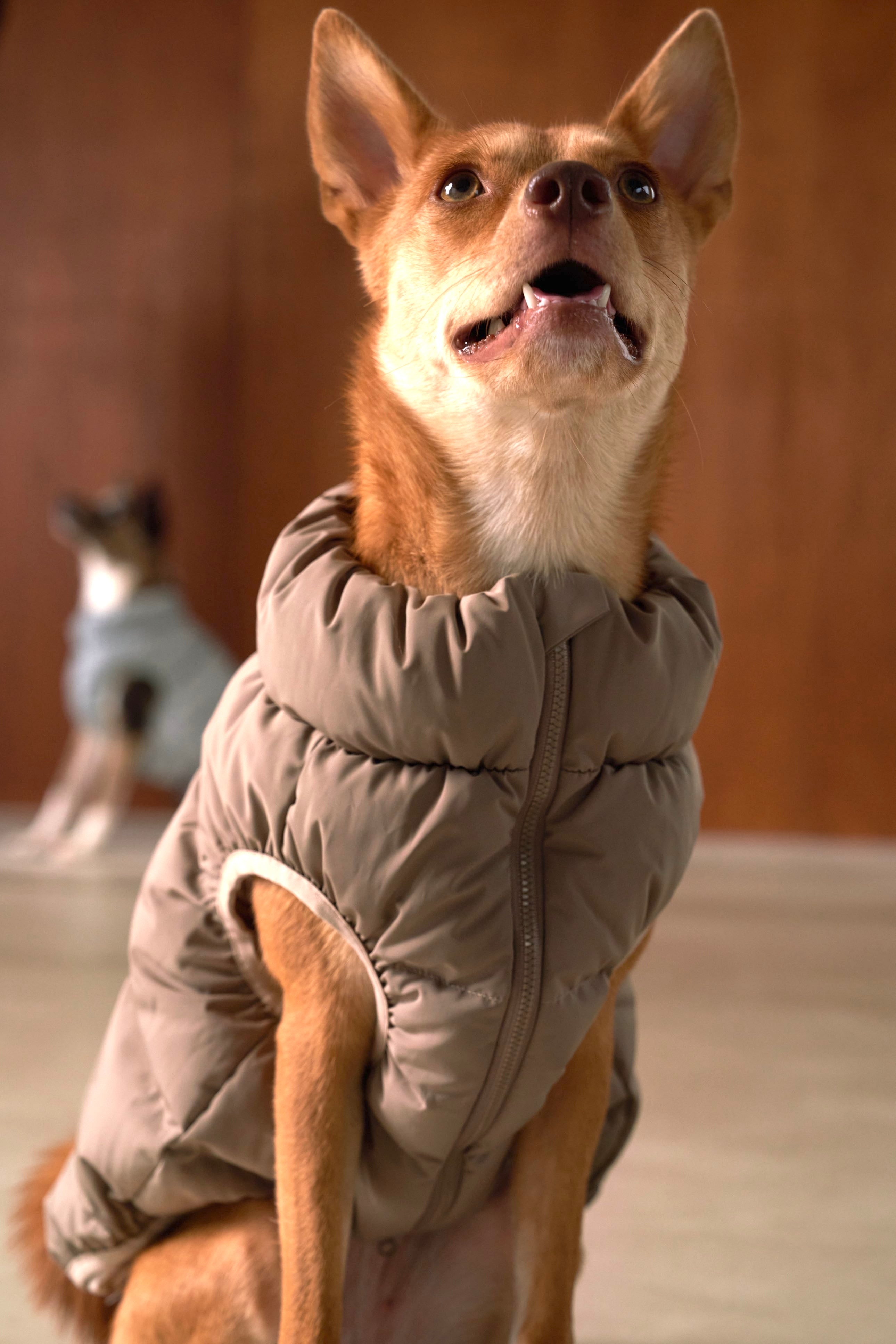 Cushy Puffer Vest カフェモカ