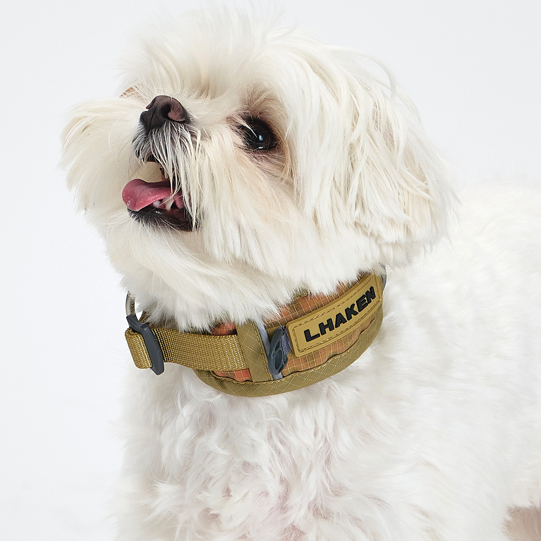 TREKTAIL Collar ベージュ