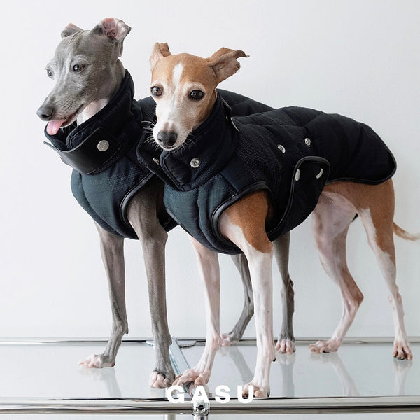 【全犬種対応】 Promener ３M™️シンサレート 静電気防止サーマルキルティングベスト