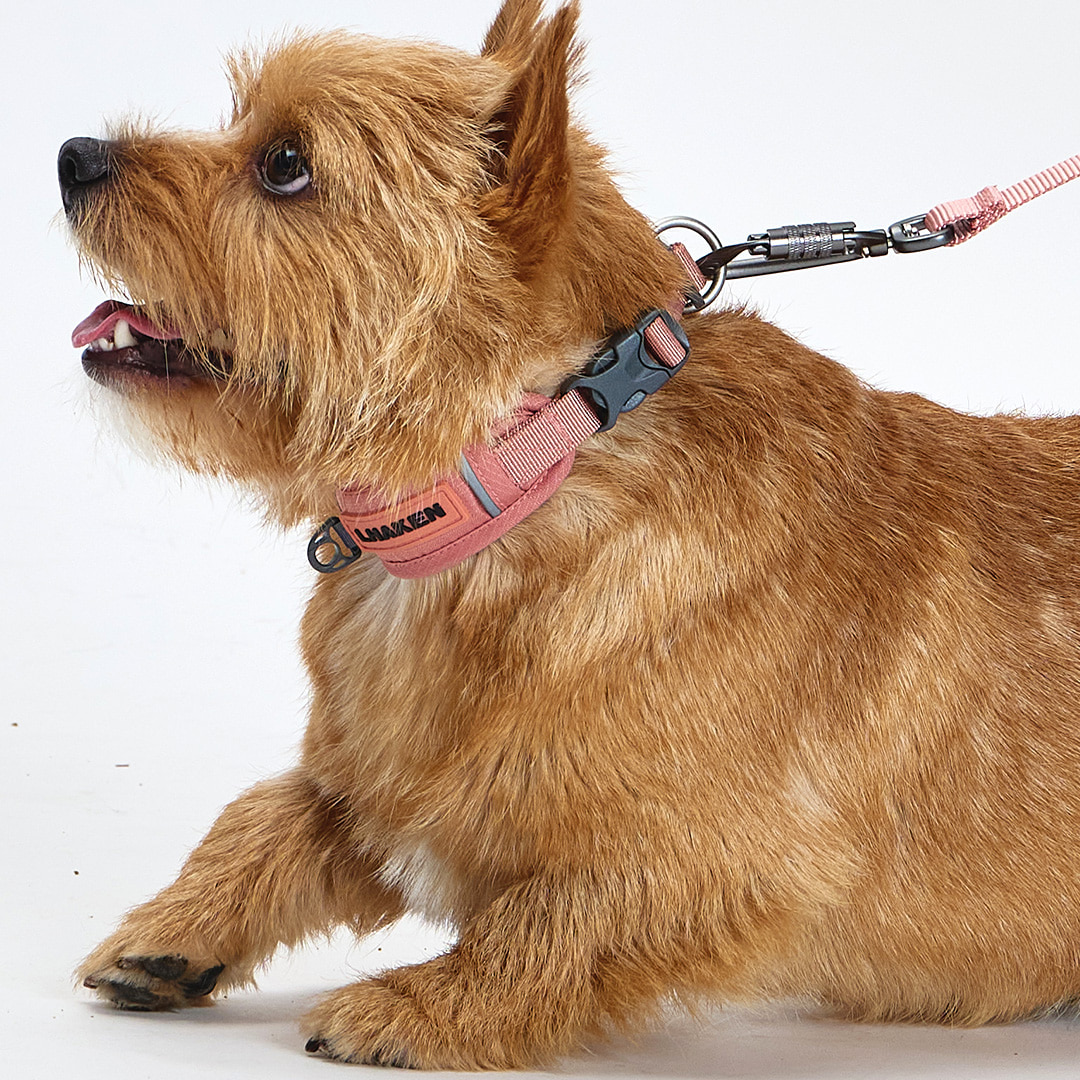 TREKTAIL Collar ピンク