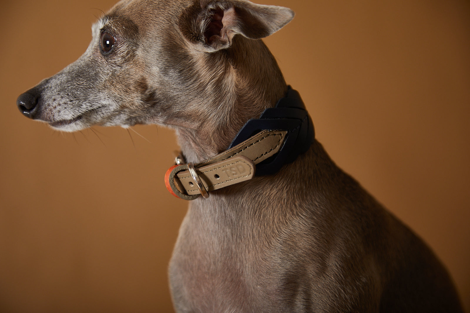 SOLEIL Leather Collar&Leash Set