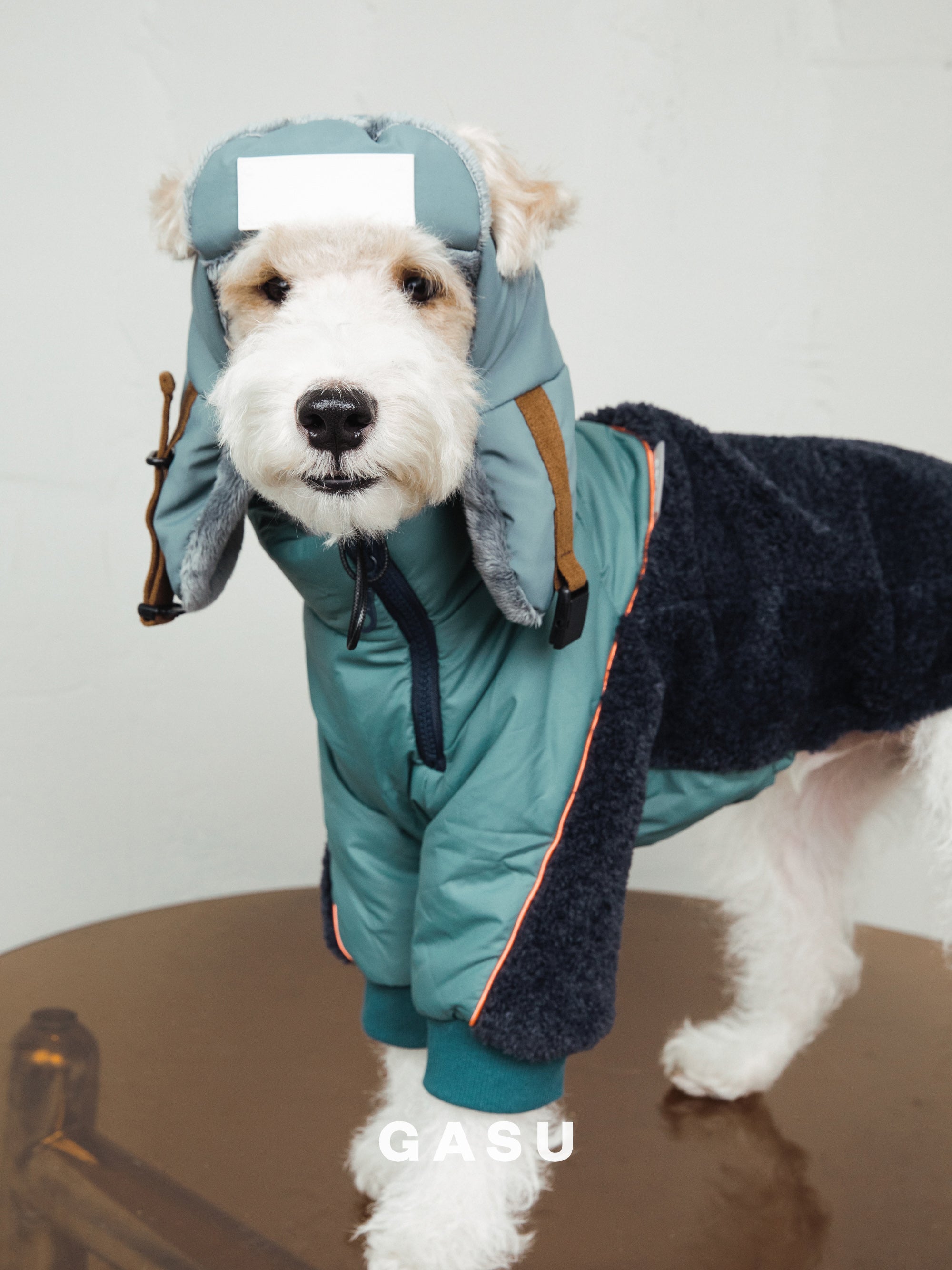 【全犬種対応】Variete ３M™️シンサレート あったかフリース中綿ジャケット