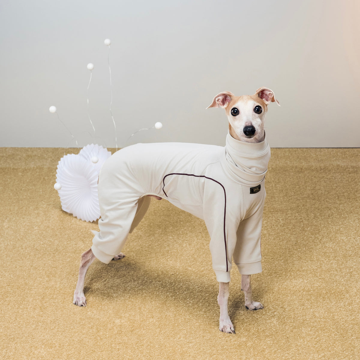 Flâner Cloud Soft Hug Jumpsuit コージートープ