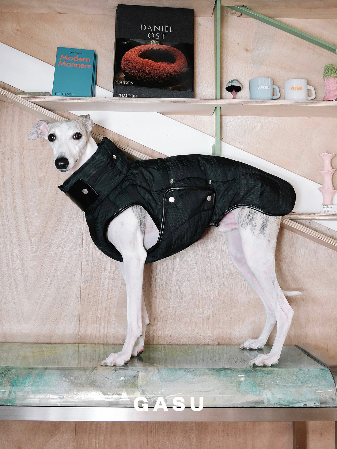 【全犬種対応】 Promener ３M™️シンサレート 静電気防止サーマルキルティングベスト