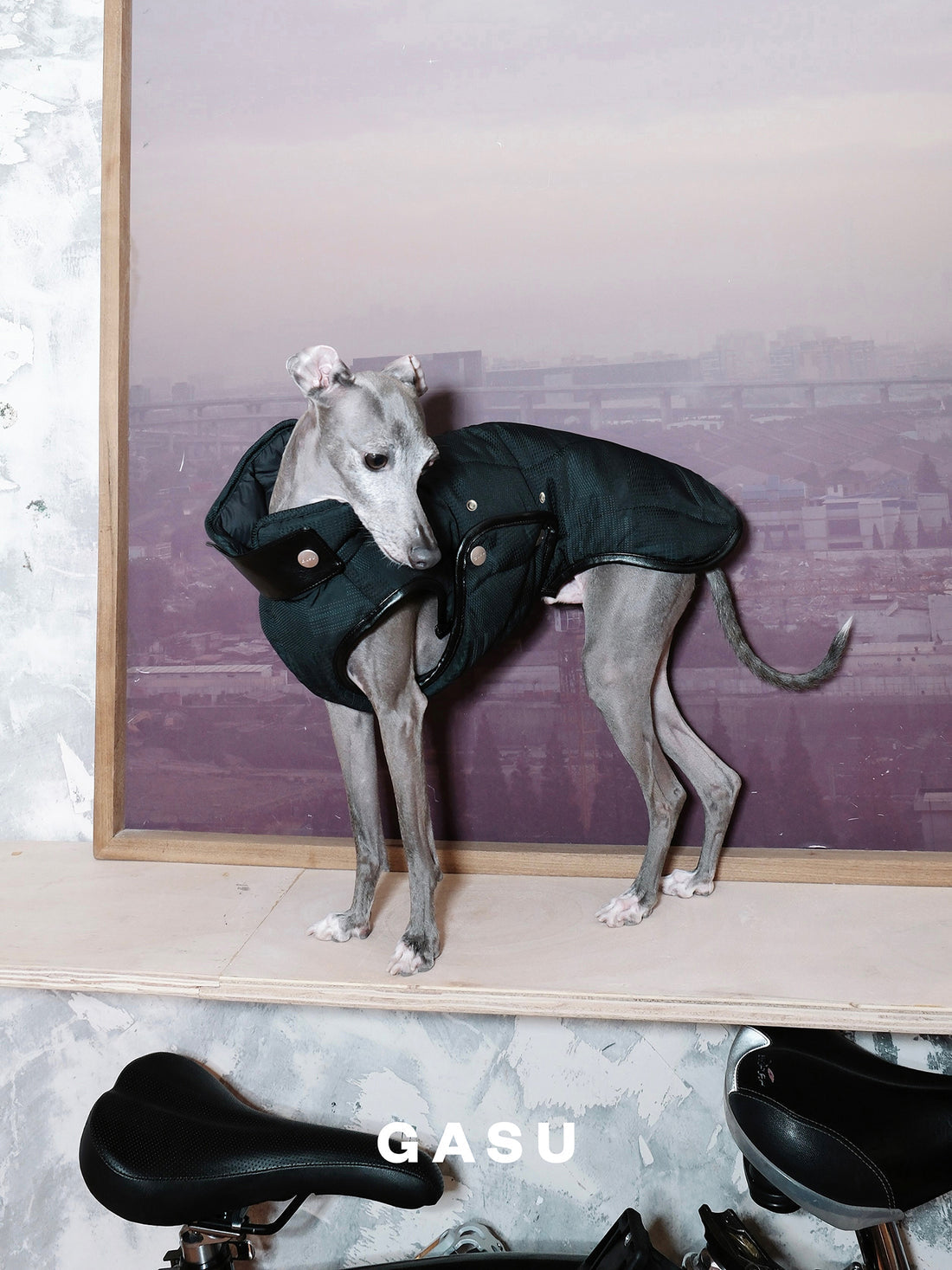 【全犬種対応】 Promener ３M™️シンサレート 静電気防止サーマルキルティングベスト