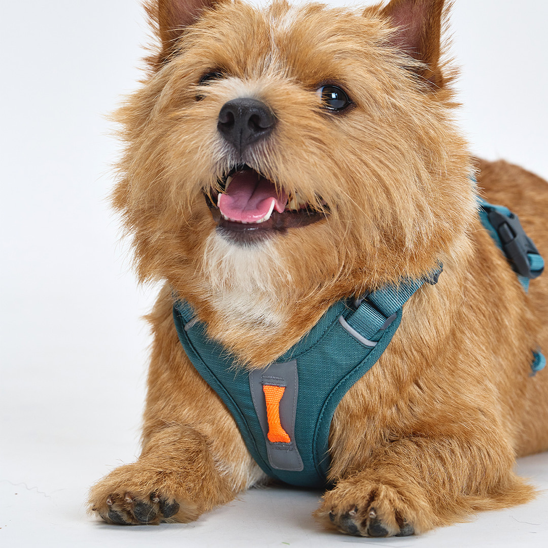 TREKTAIL HARNESS カーキ