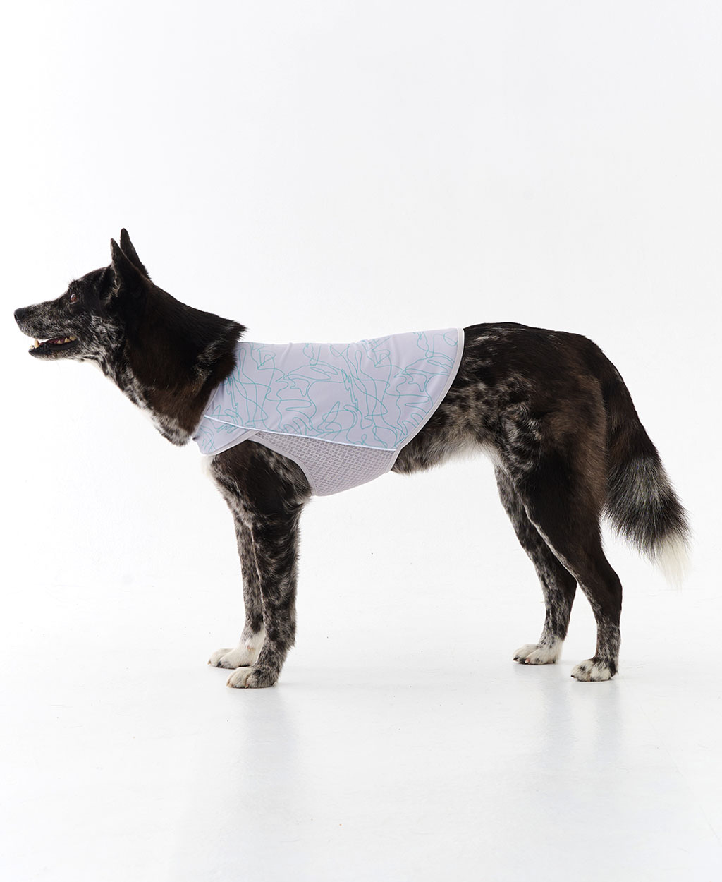 WEISS COOLING VEST GRAY