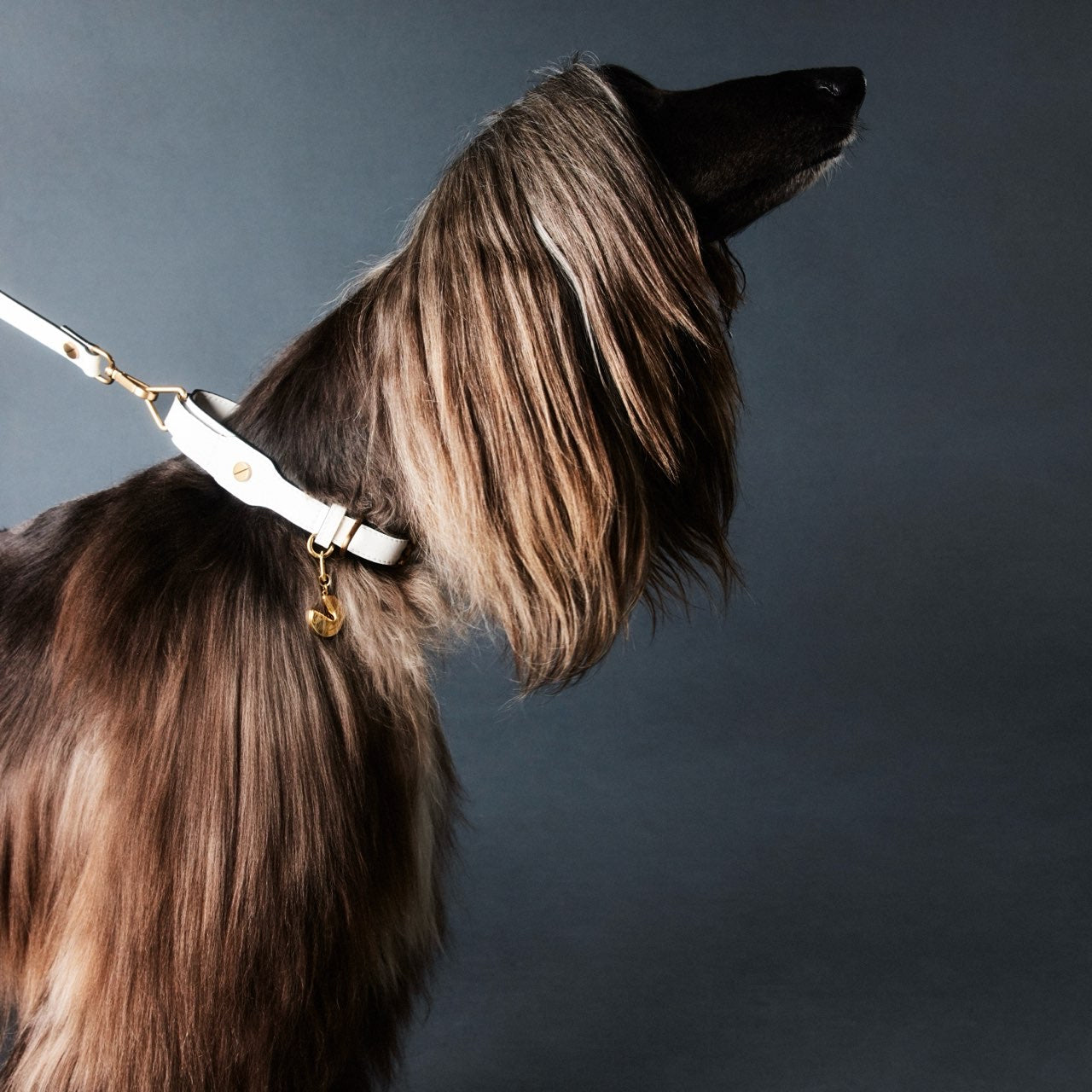 CLASSIQUE COLLAR ホワイト