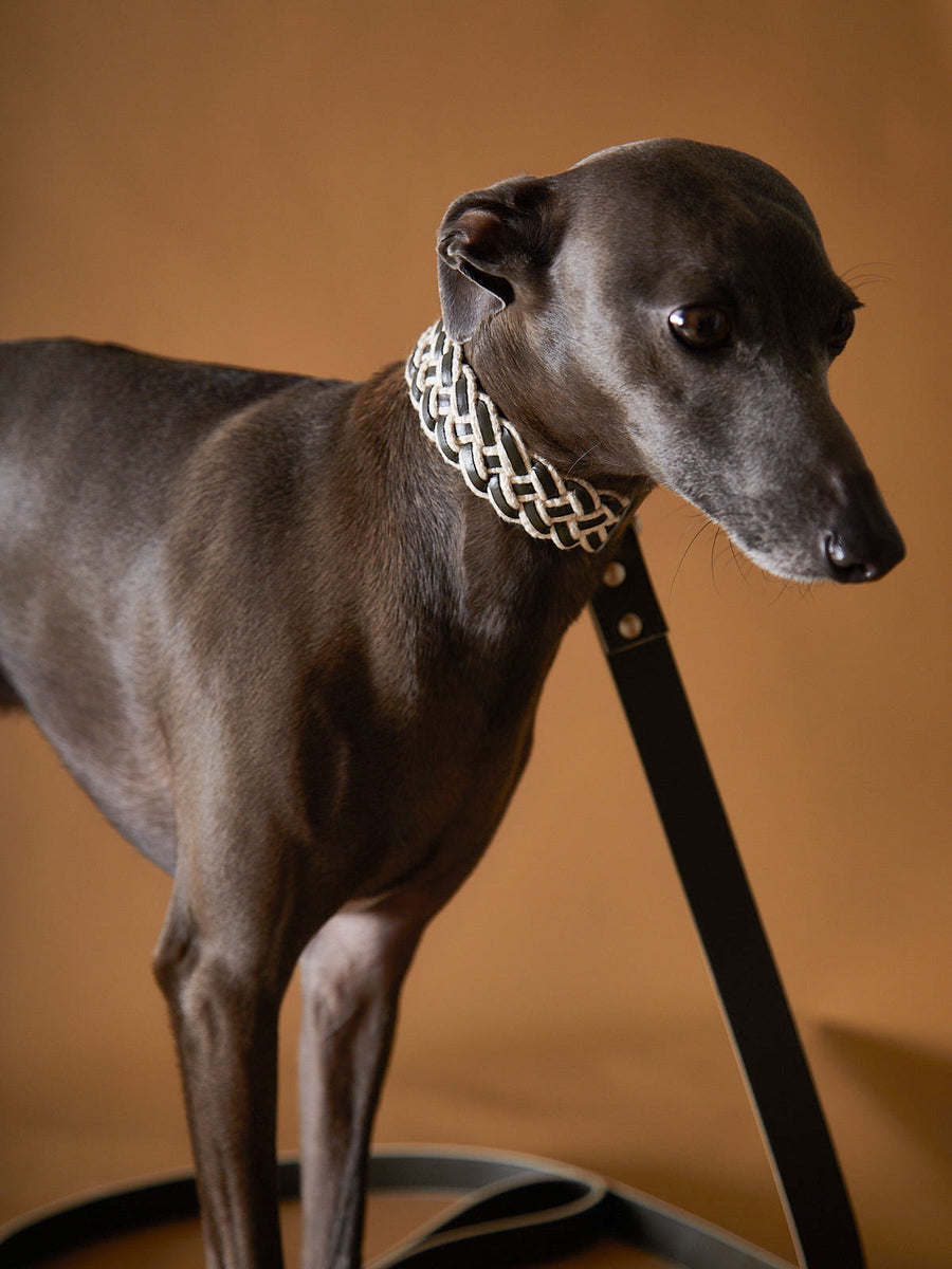 ÉTOILE Leather Collar&Leash Set