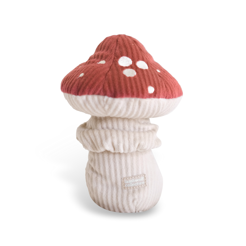SHROOM – Ray Dog Kyoto