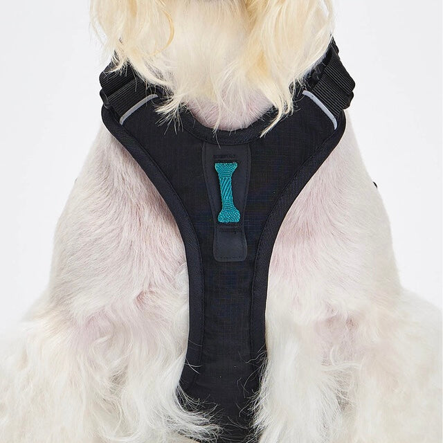 TREKTAIL Harness ブラック