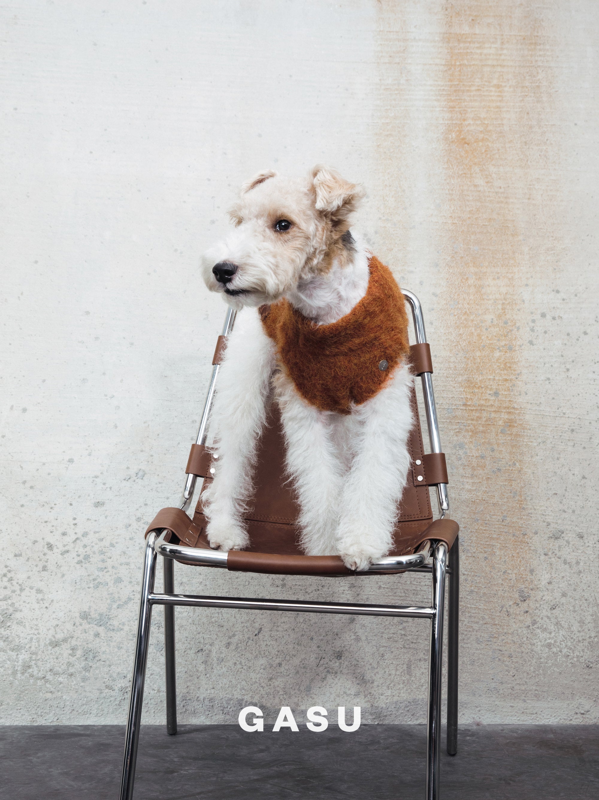 【全犬種対応】Roseau ファイン＆ウォーム アルパカニットベスト メイプル