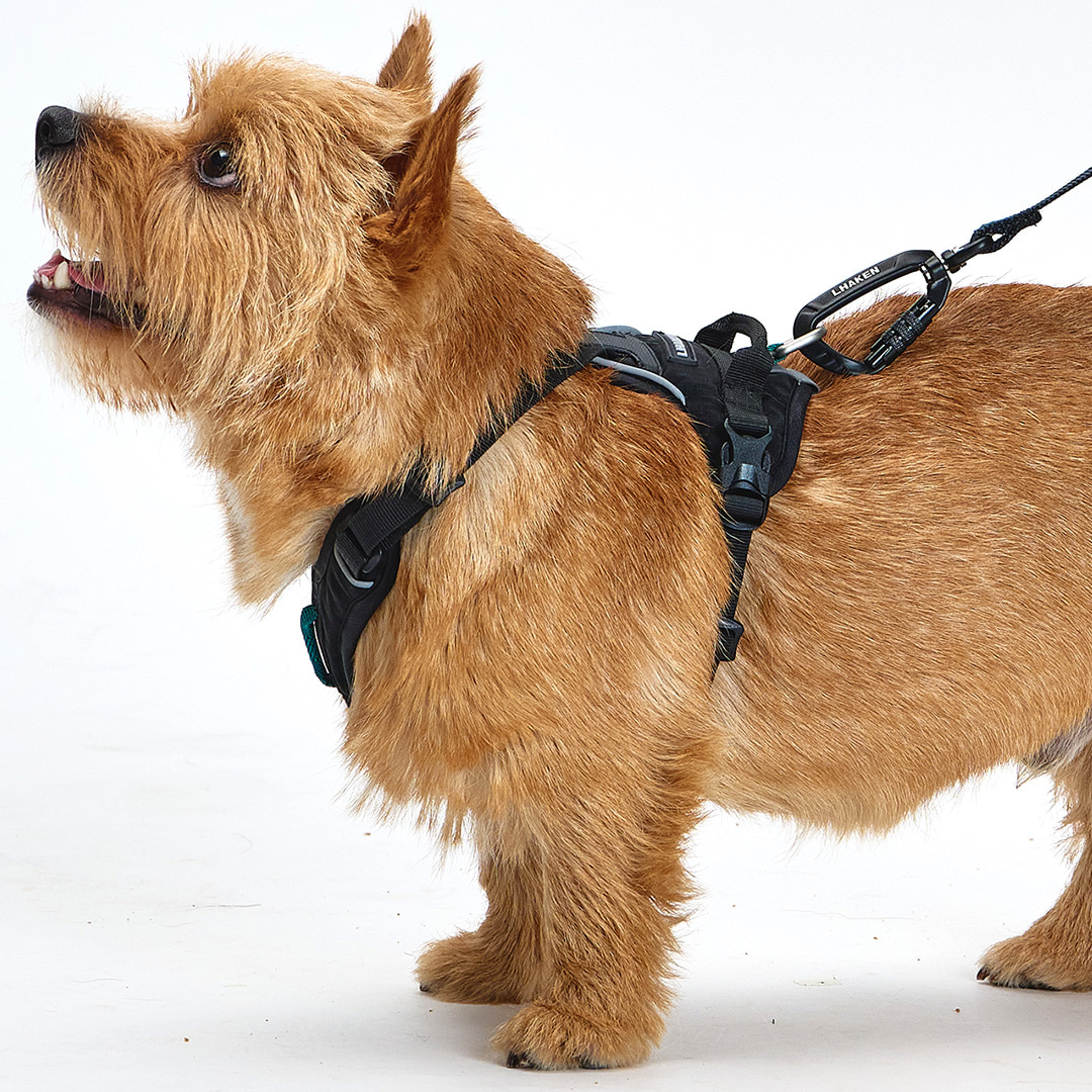 TREKTAIL Harness ブラック