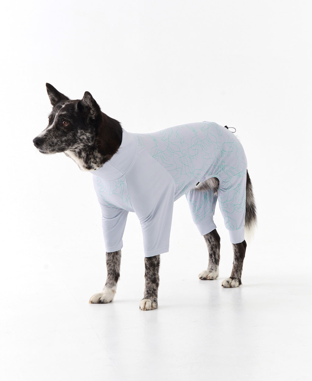 WEISS COOLING OVERALL GRAY