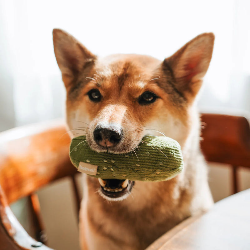 BAGEL&PICKLE