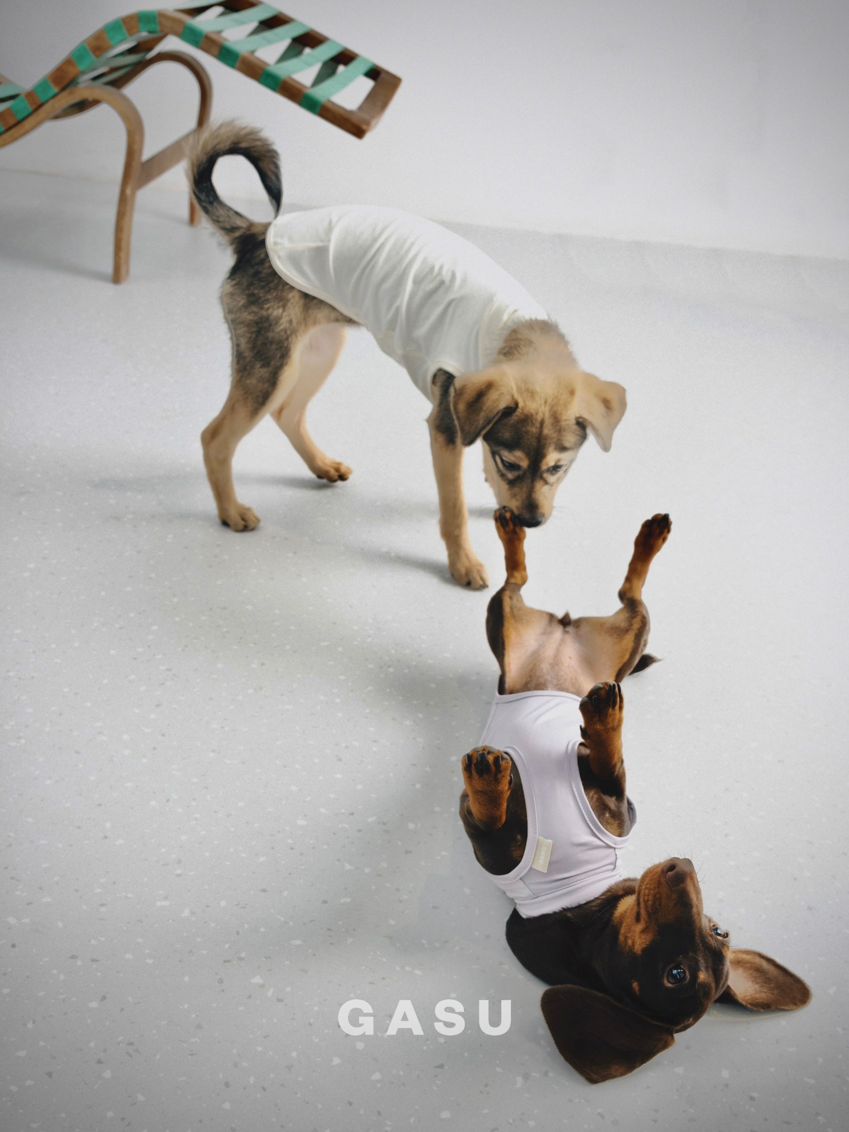 Flâner Nude UPF1000＋ Cooling Vest  オフホワイト