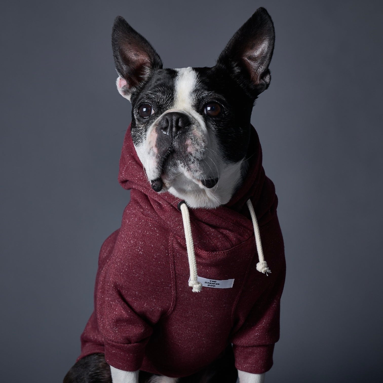 FONTANA ベーシックパーカー バーガンディ