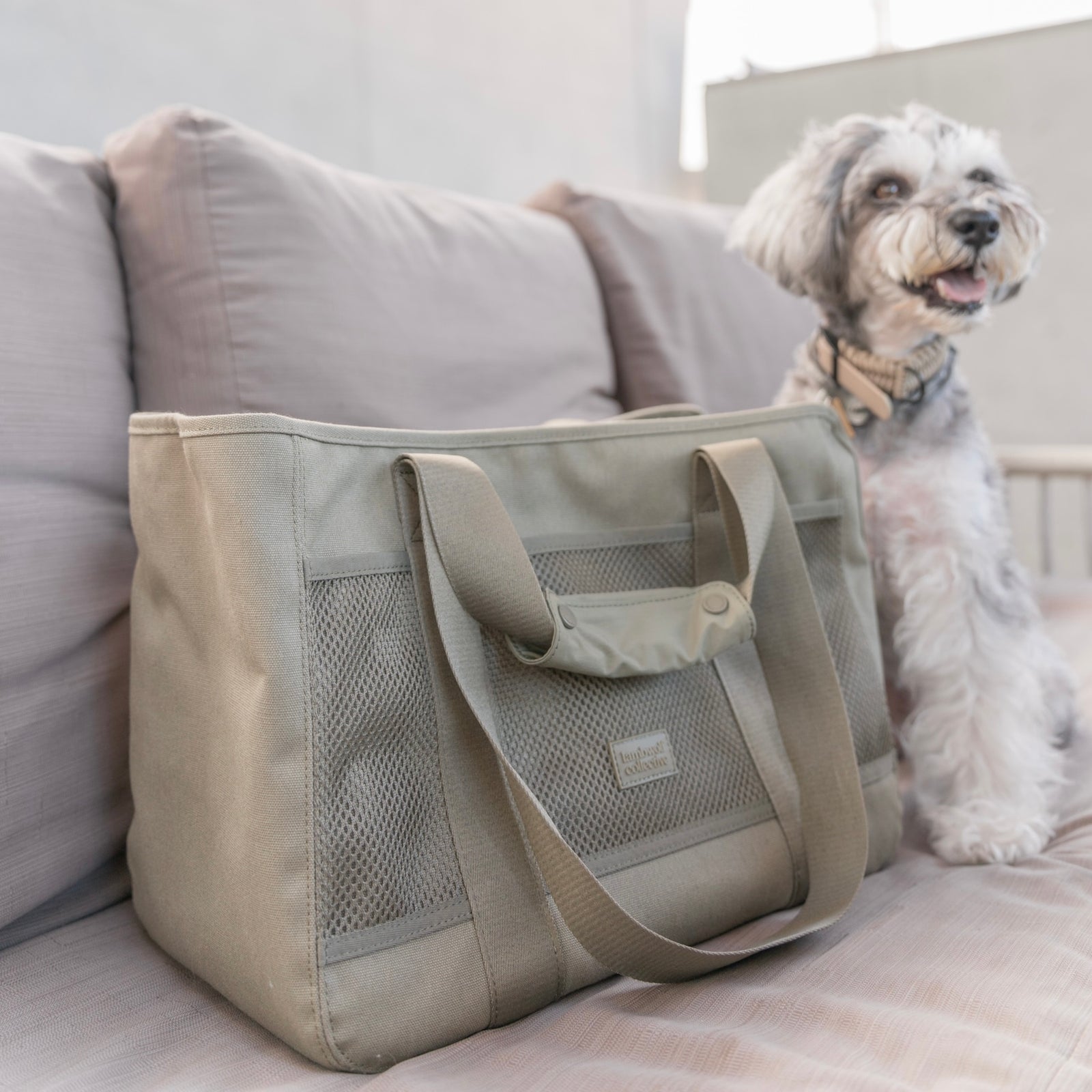 SUBWAY Petite Pet Carrycot FERN – Ray Dog Kyoto