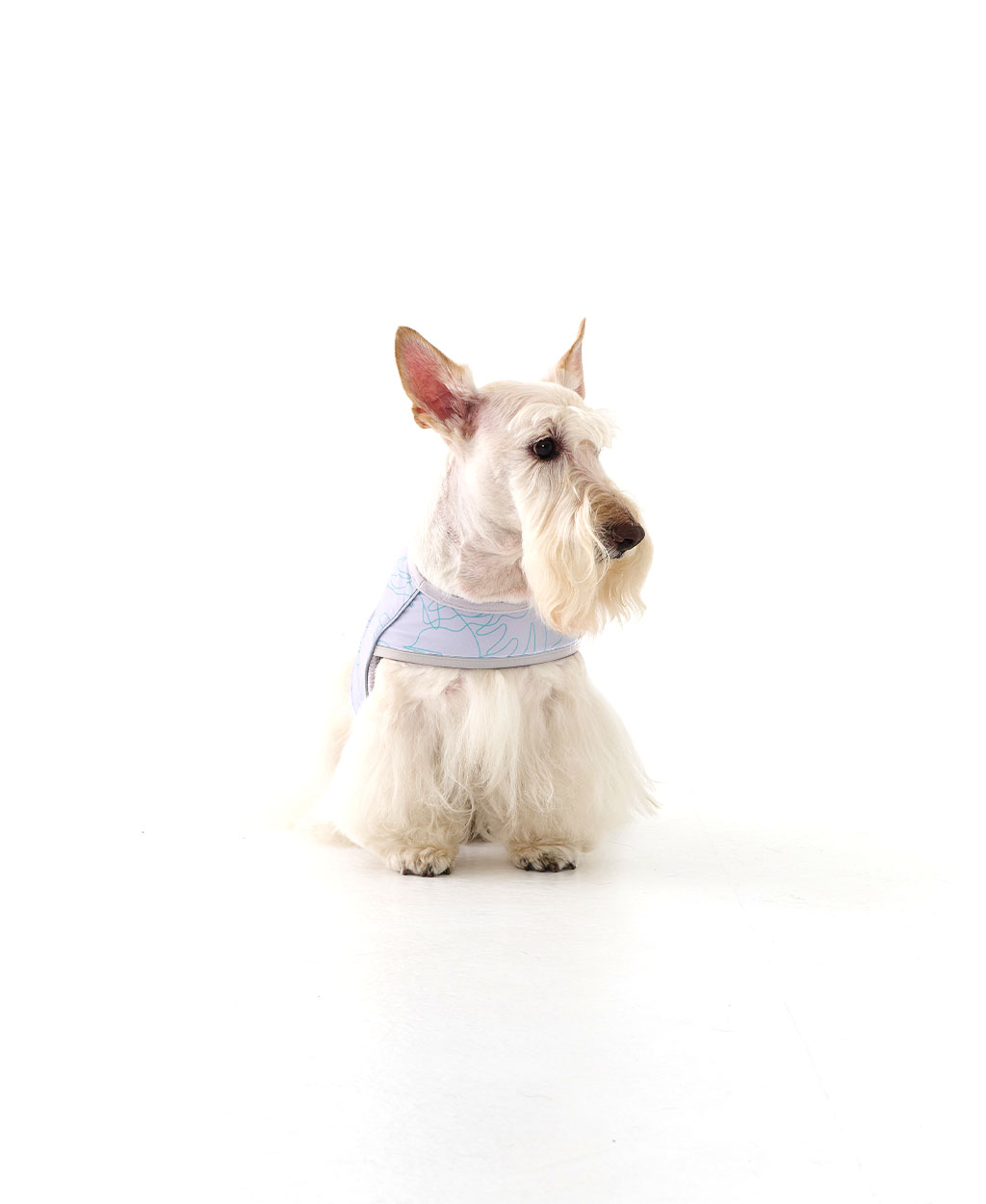 WEISS COOLING VEST GRAY