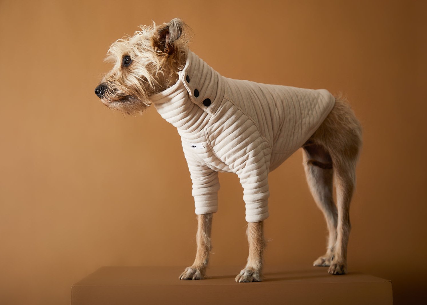 PROVENCE タートルネックキルティングカットソー