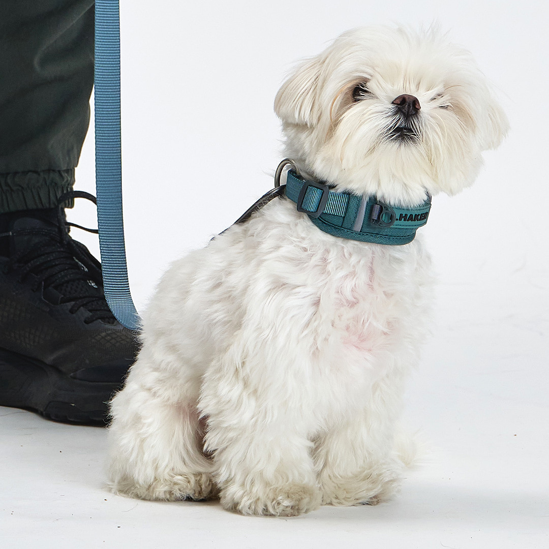 TREKTAIL Collar カーキ