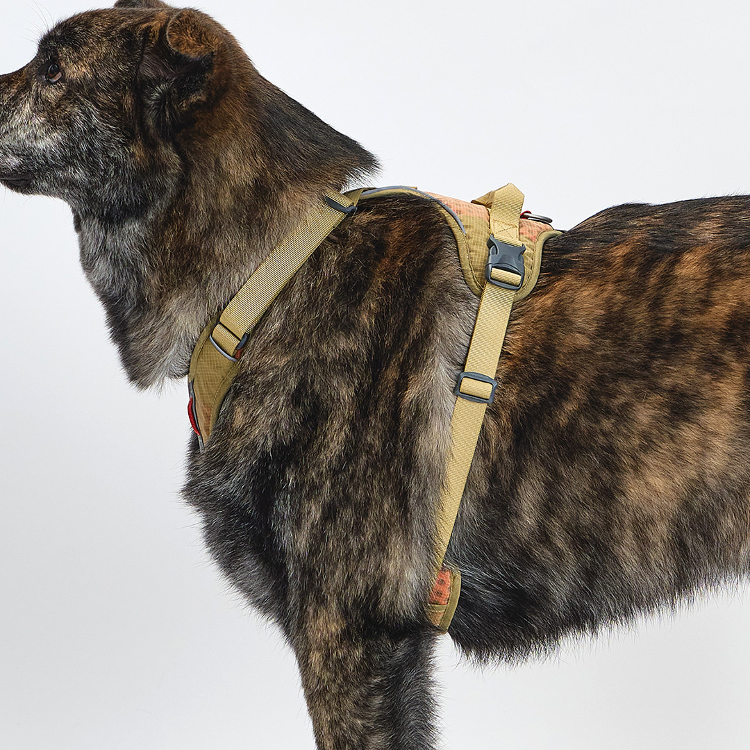 TREKTAIL Harness ベージュ