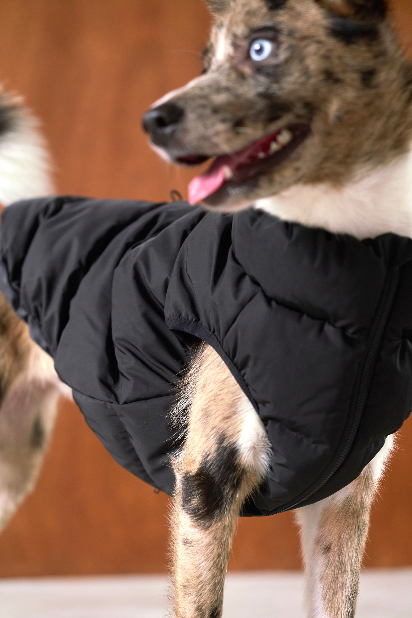 Cushy Puffer Vest ブラック – Ray Dog Kyoto