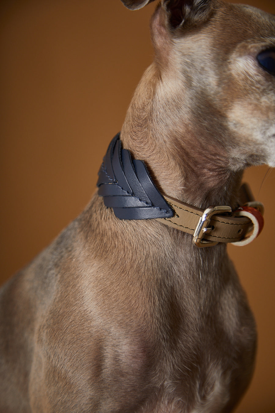 SOLEIL Leather Collar&Leash Set
