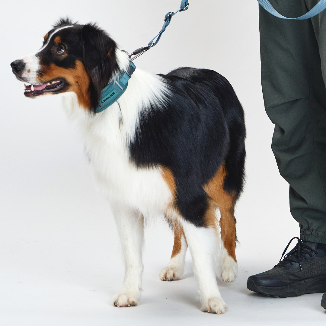 TREKTAIL Collar カーキ