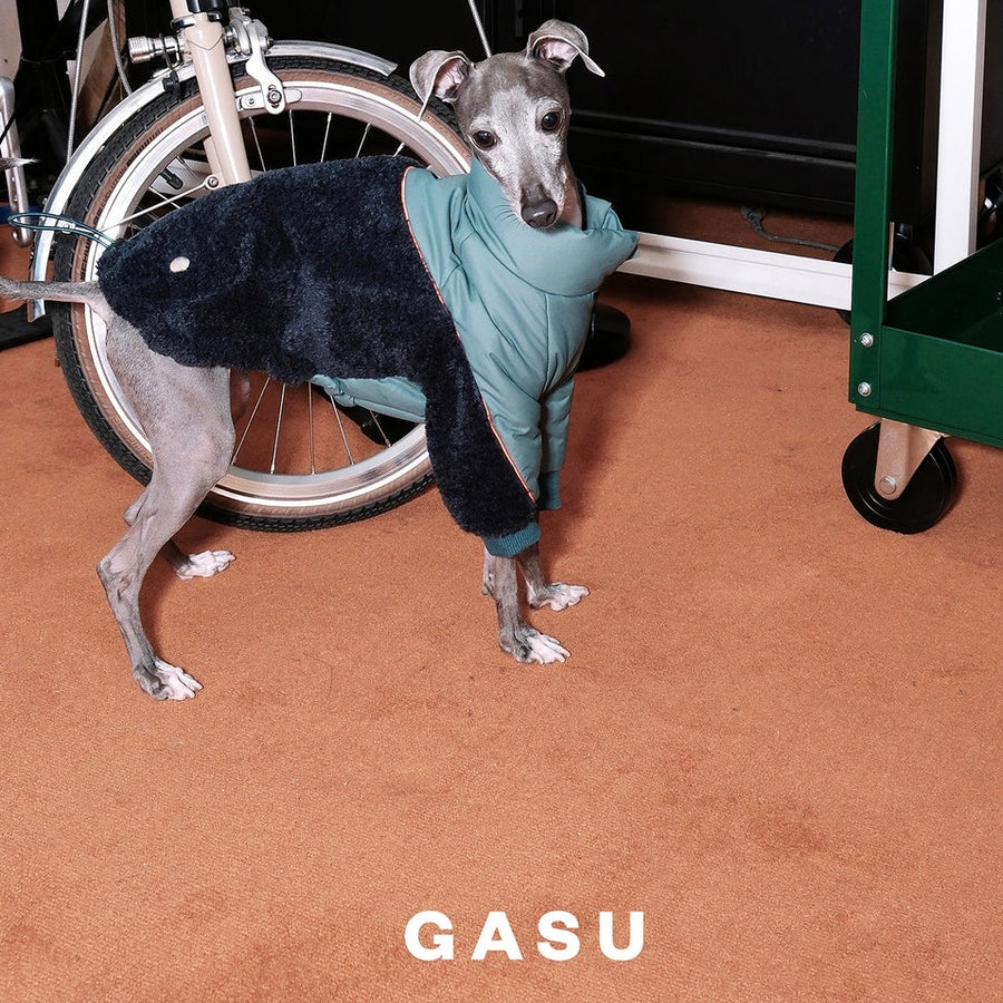 GASU – Ray Dog Kyoto