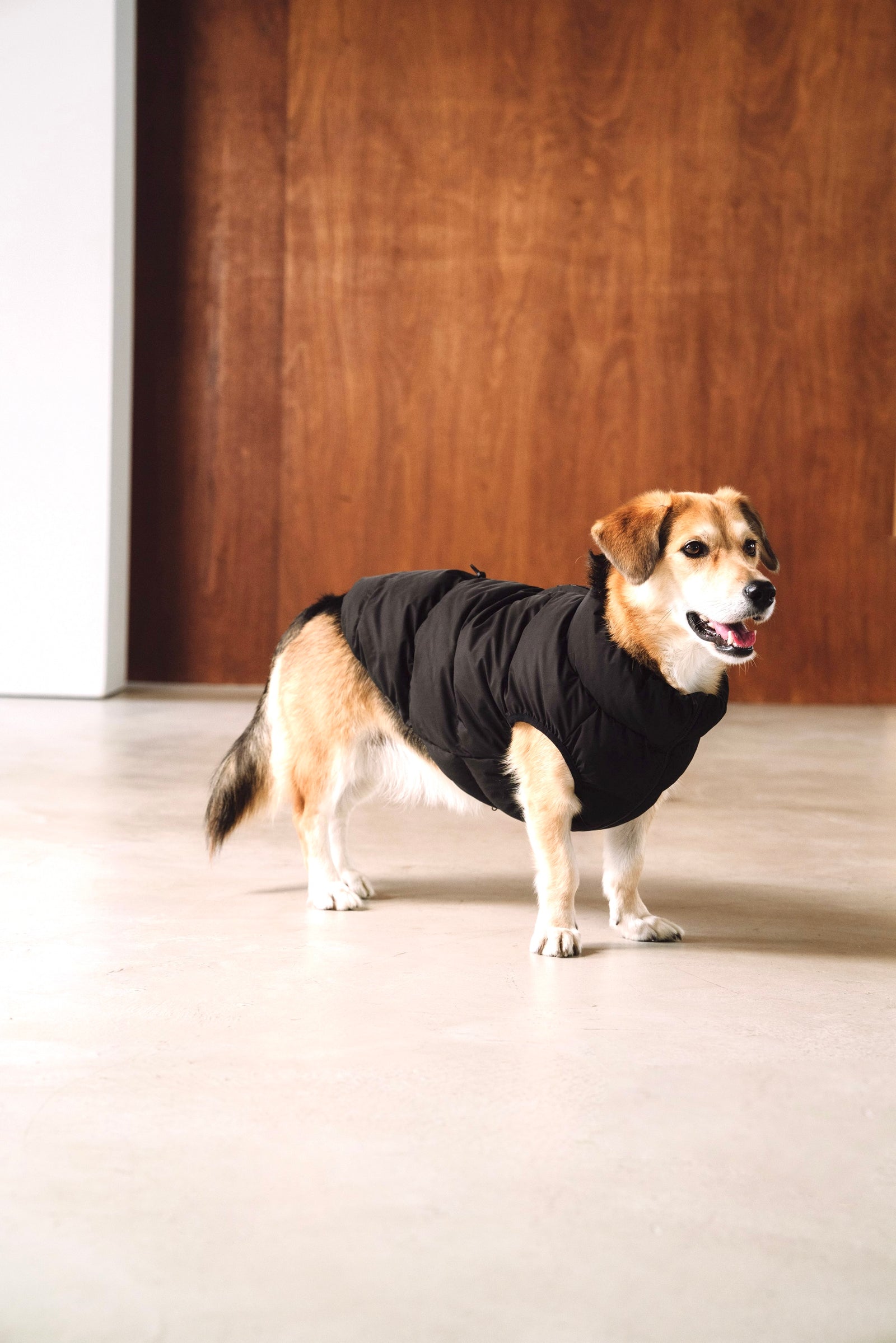 Cushy Puffer Vest ブラック – Ray Dog Kyoto