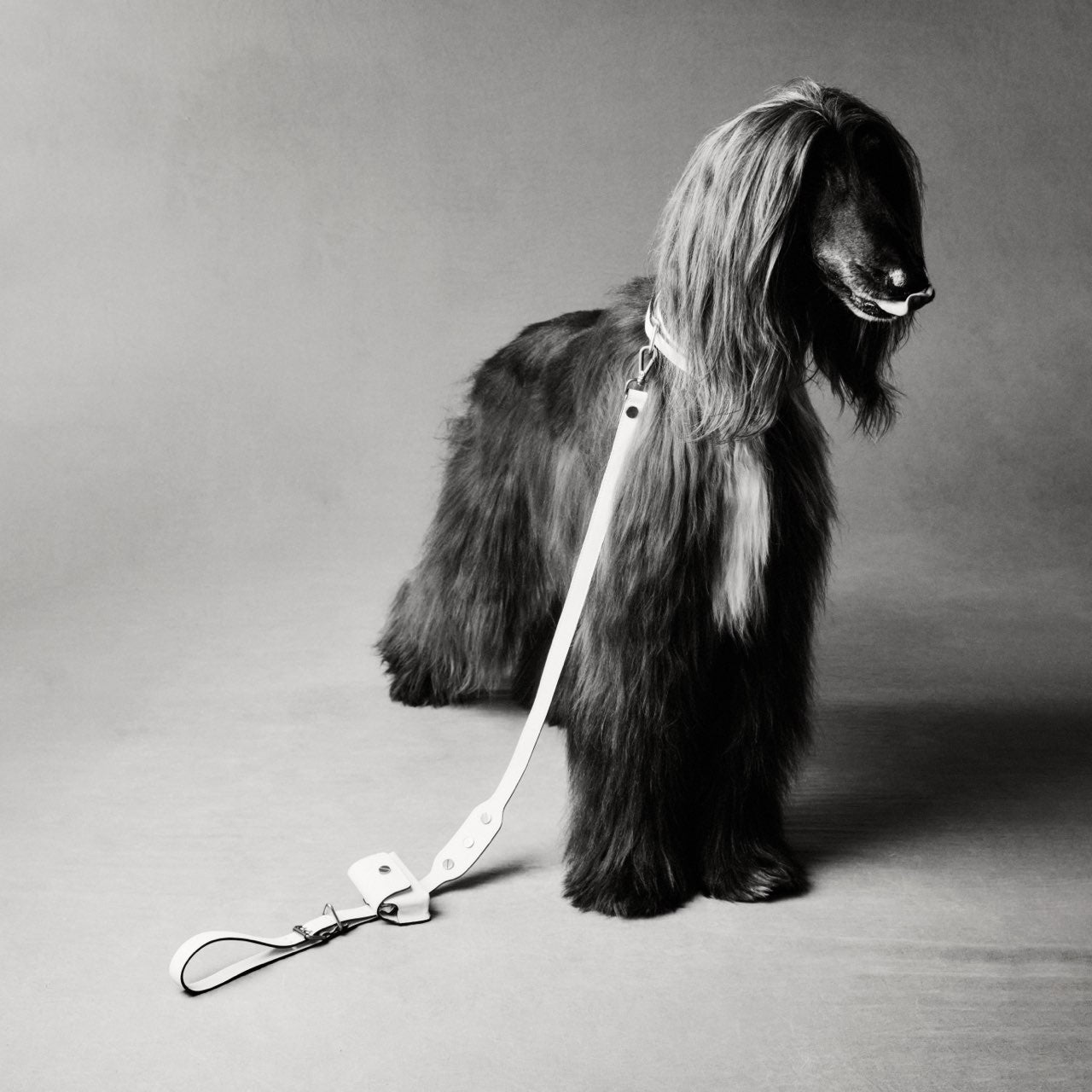 CLASSIQUE CACA SAC ホワイト