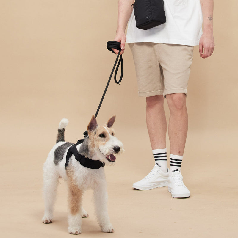 Rover Rope Leash ブラック