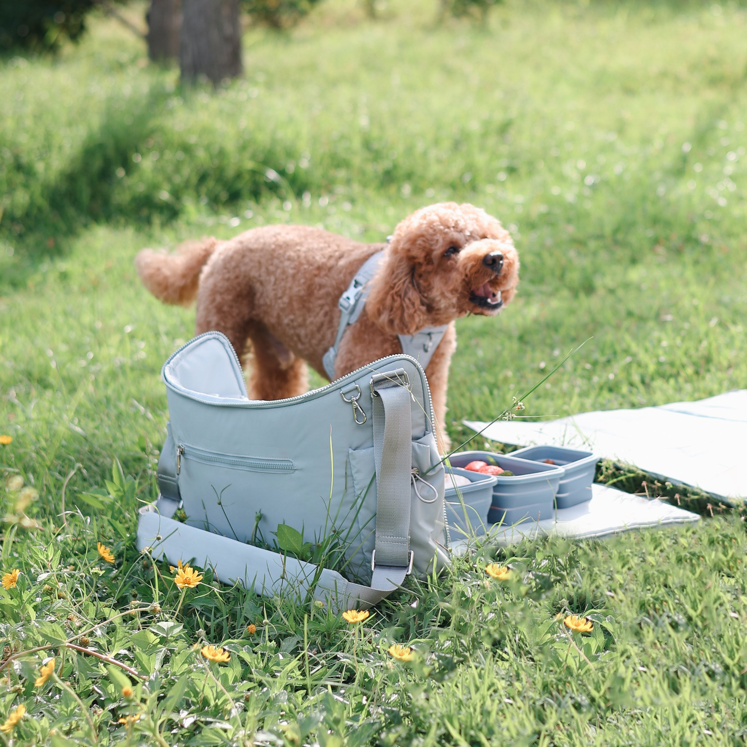 Breeze Picnic&Stroller Bag （トラベルマット付き) オリーブ