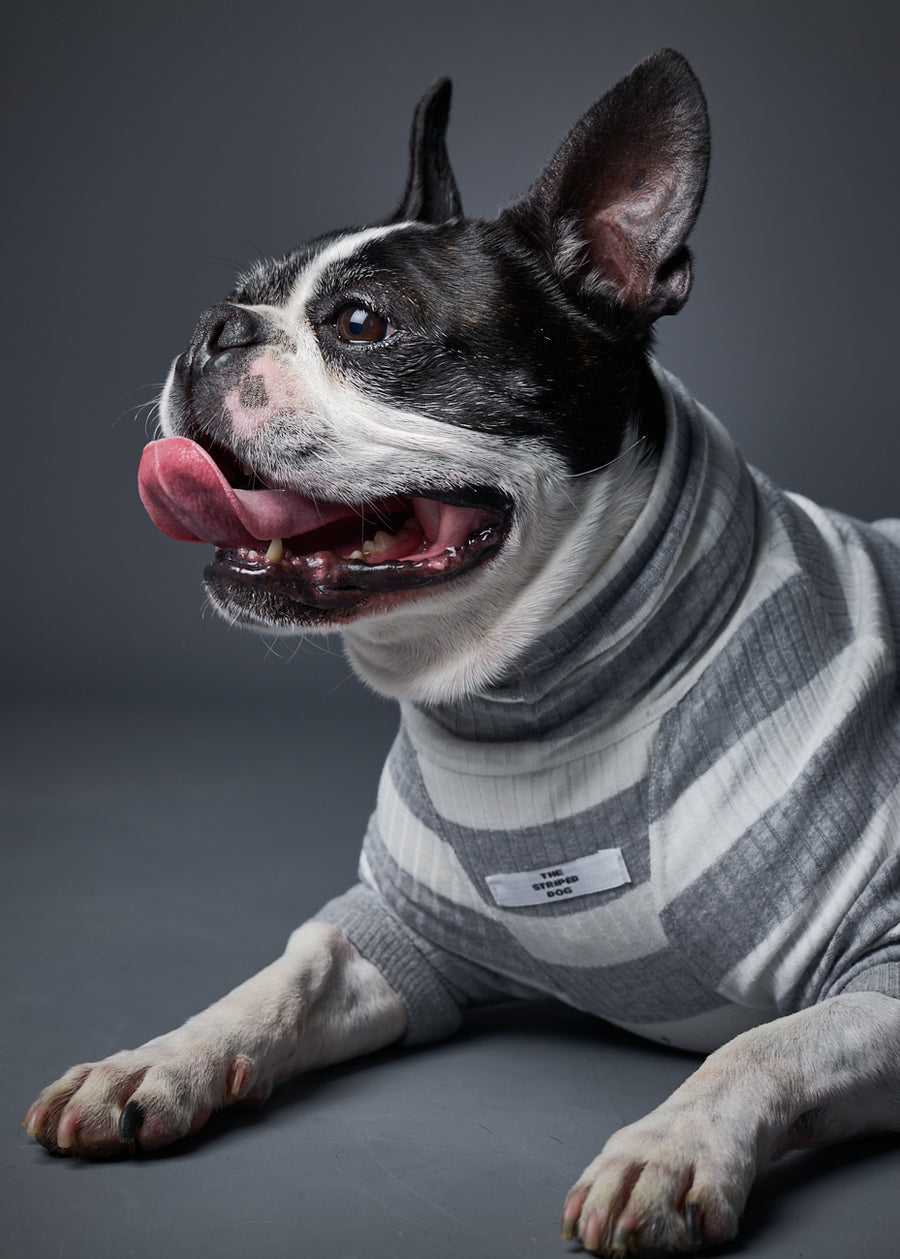 BREA タートルネックボーダーTシャツ