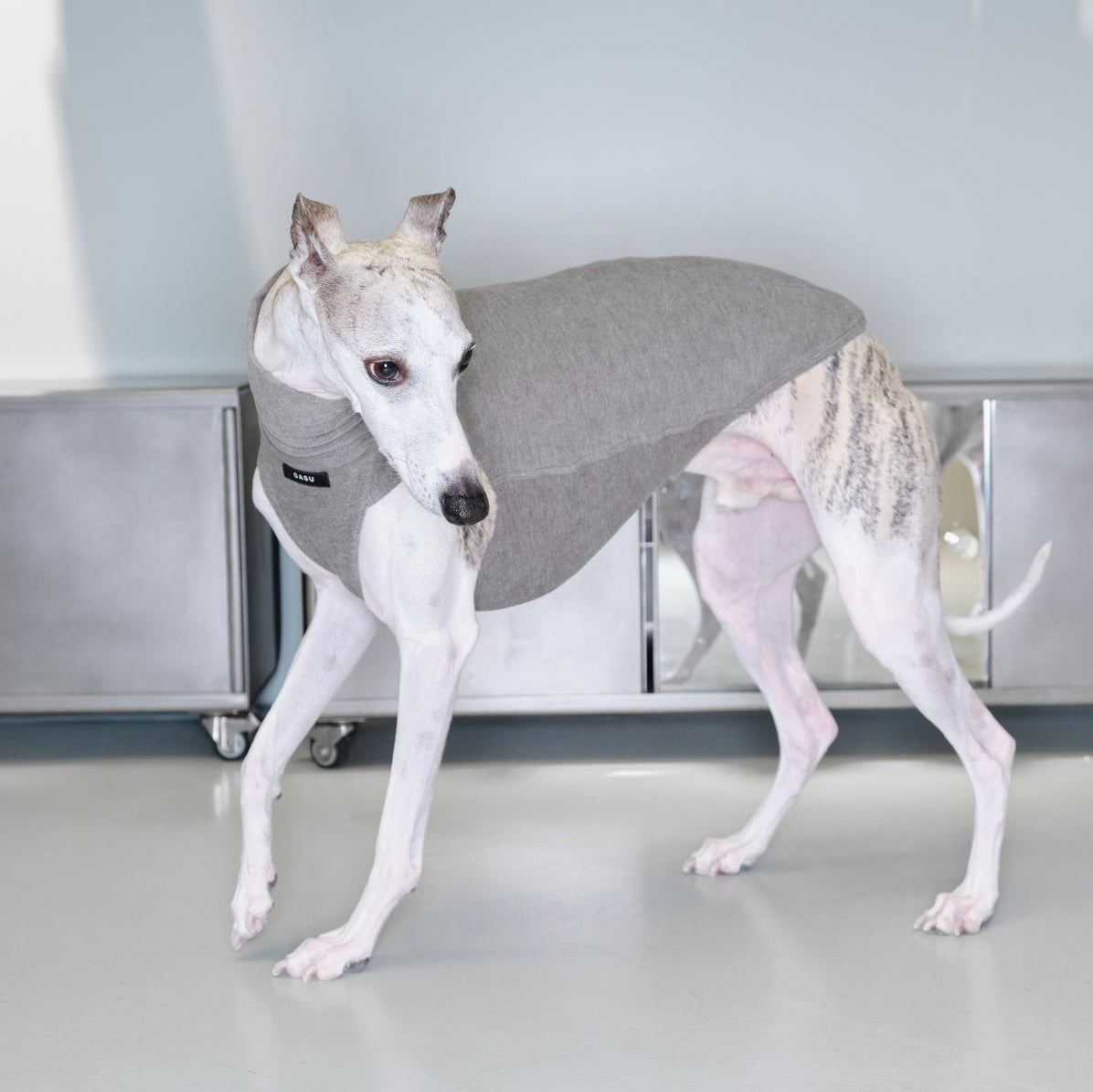 Flâner タイトフィットベスト ペブルグレー