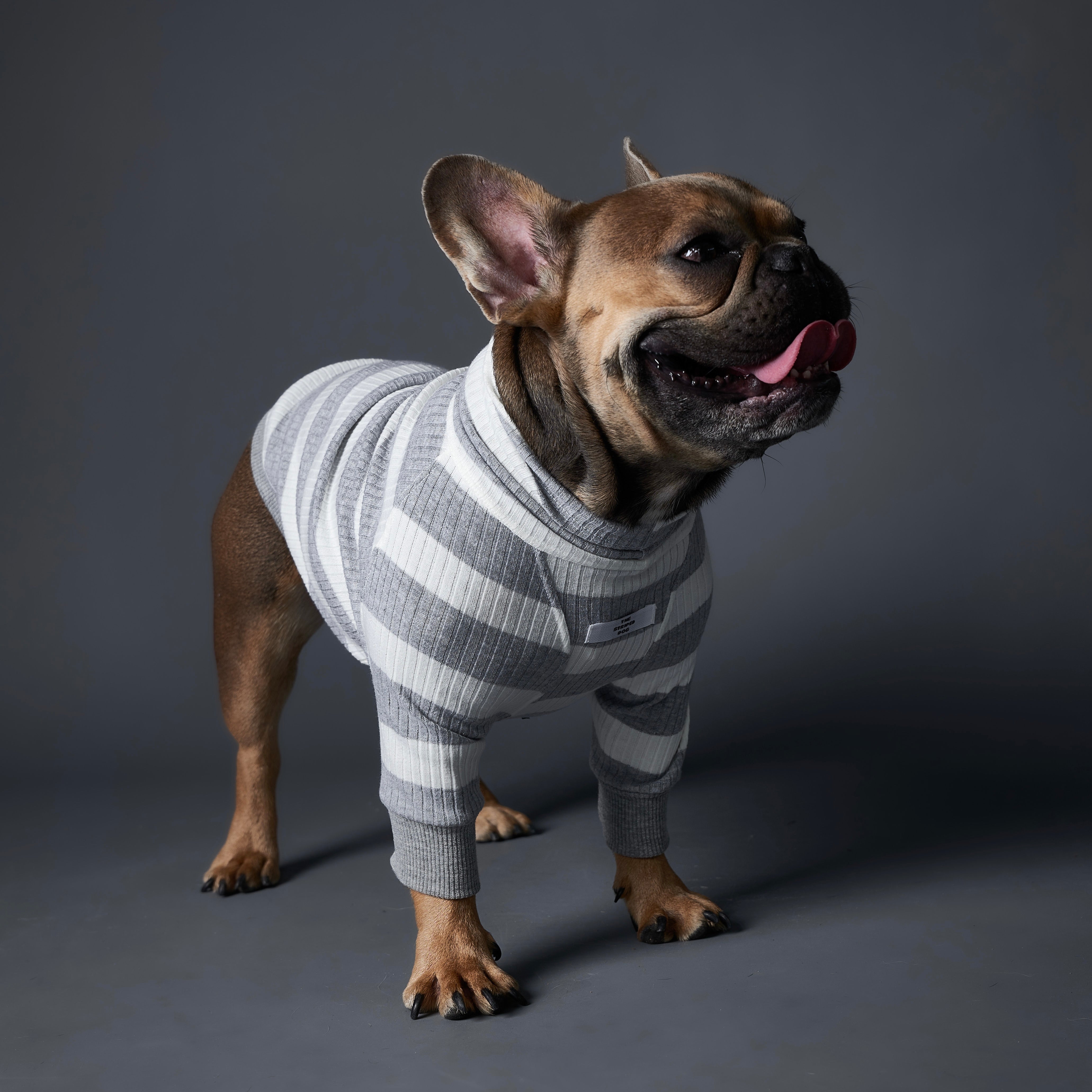 BREA タートルネックボーダーTシャツ