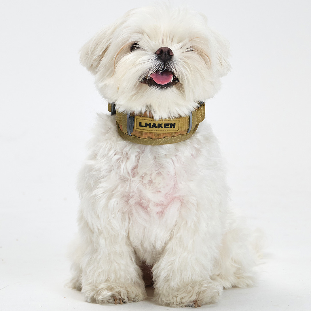 TREKTAIL Collar ベージュ