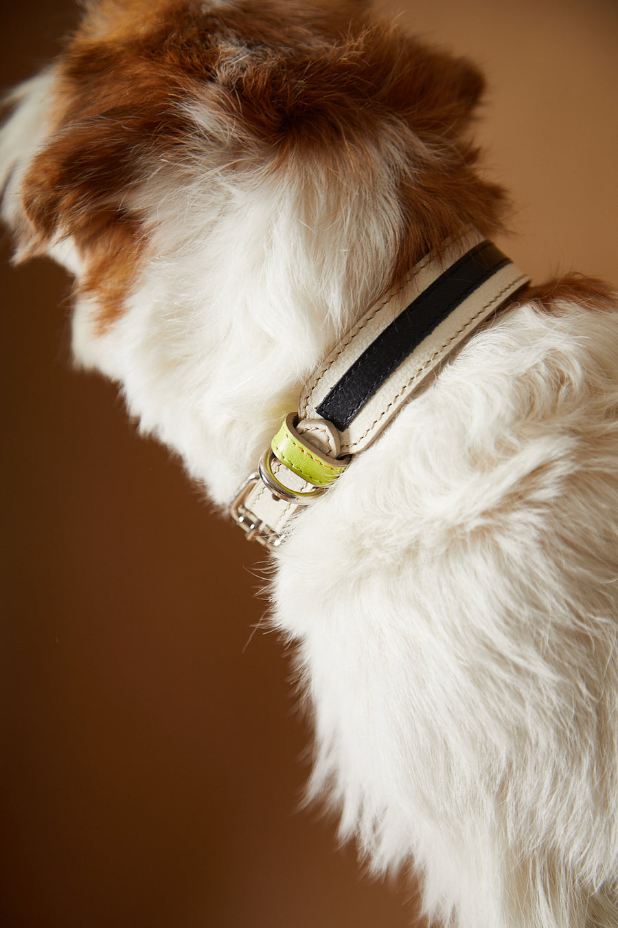LUNE Leather Collar and Leash Set