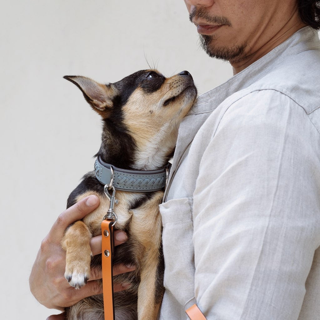 Mistico Dog Collar XLサイズ