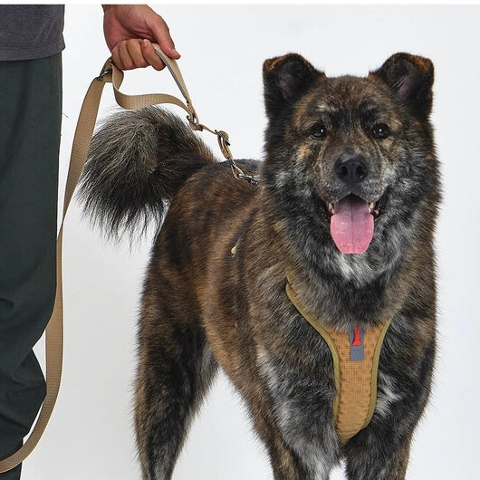 TREKTAIL Harness ベージュ