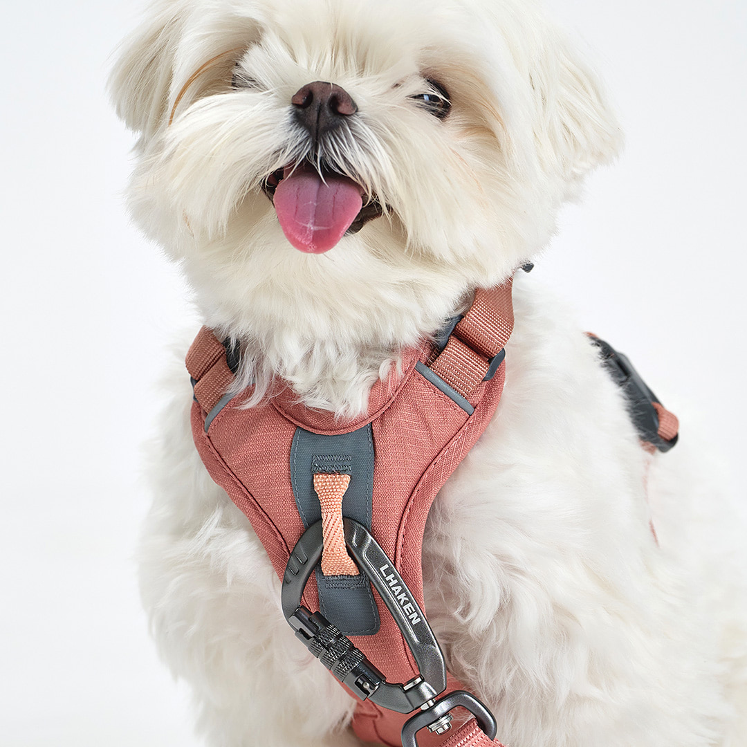 TREKTAIL Harness ピンク