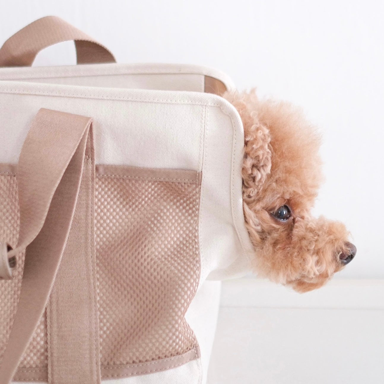 SUBWAY Petite Pet Carrycot CAMEL
