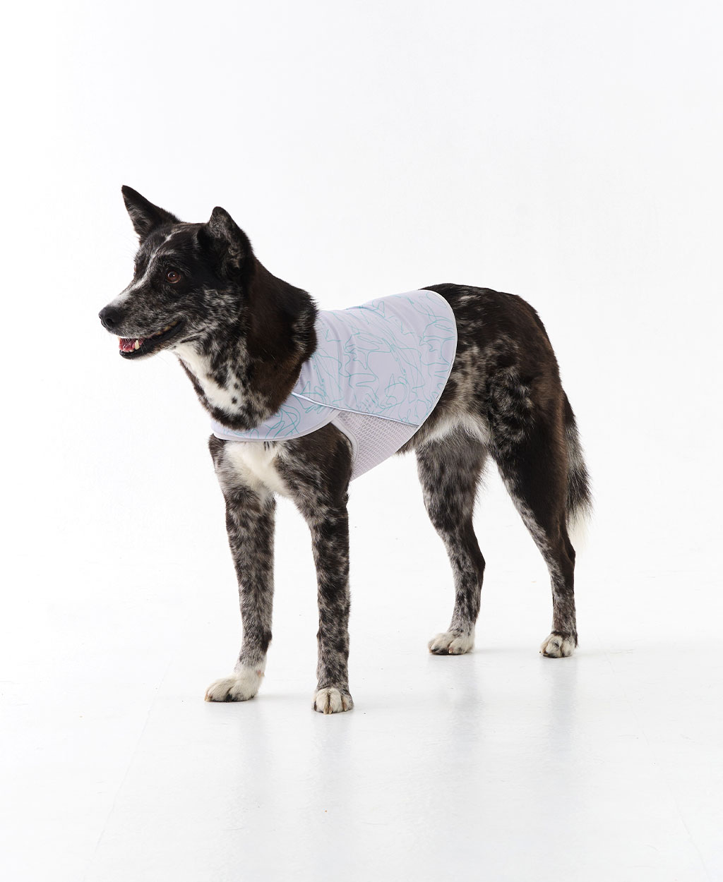WEISS COOLING VEST GRAY