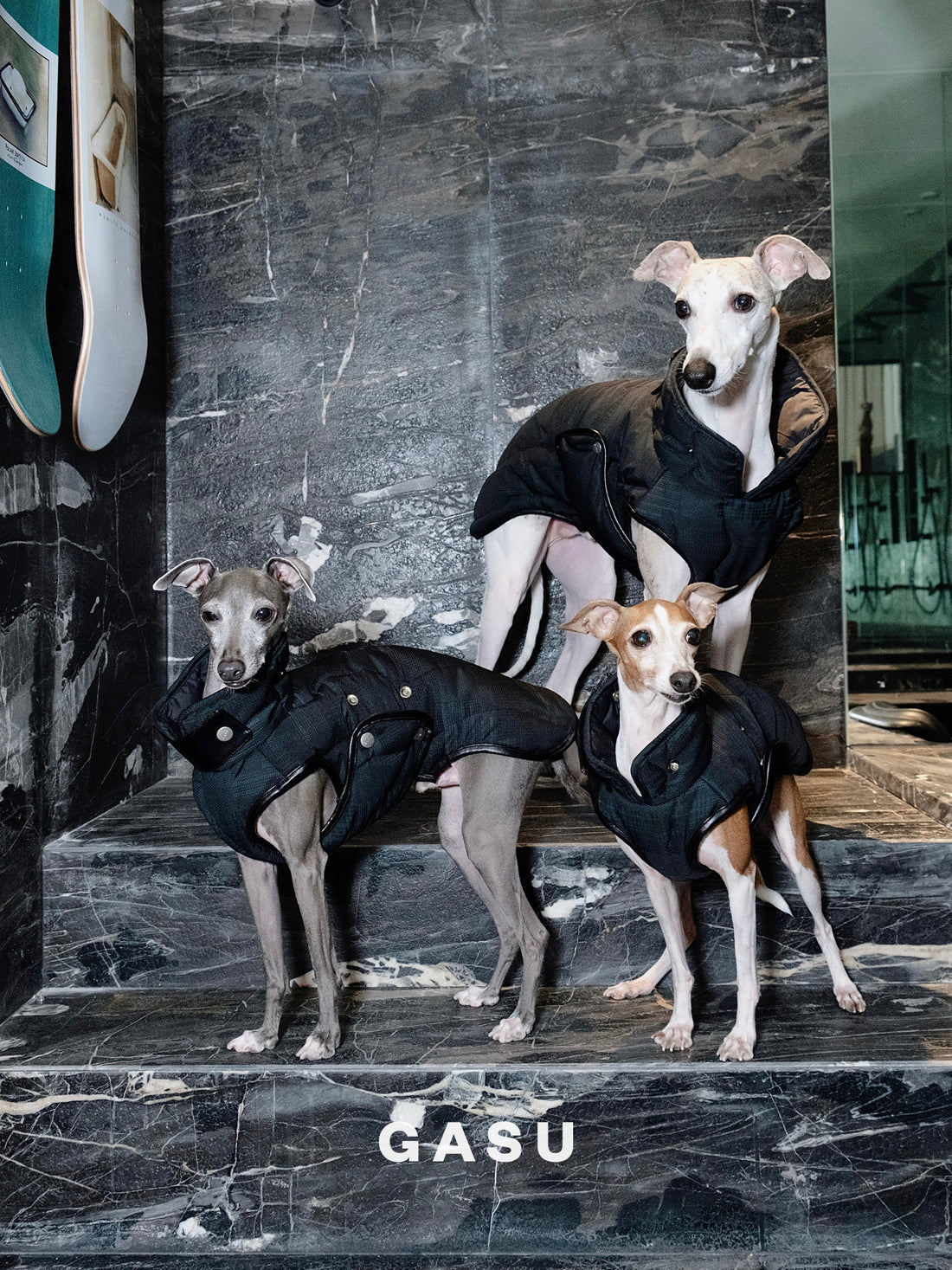 【全犬種対応】 Promener ３M™️シンサレート 静電気防止サーマルキルティングベスト