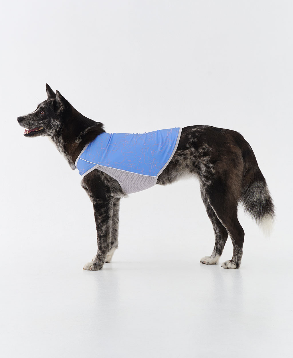 WEISS COOLING VEST BLUE